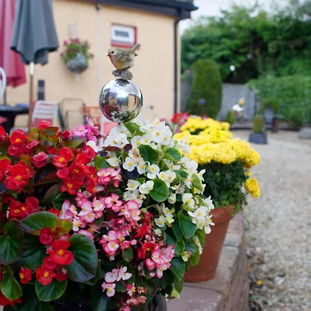 فندق مبيت وإفطار Krakow