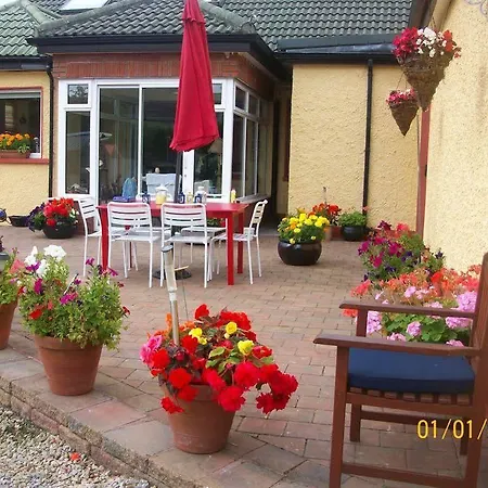 Krakow دوندالك