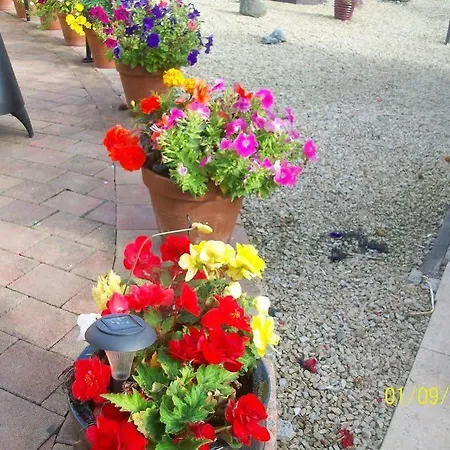 Bed & Breakfast Krakow