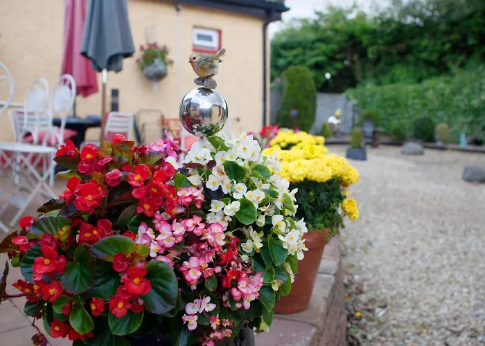 Bed & Breakfast Krakow